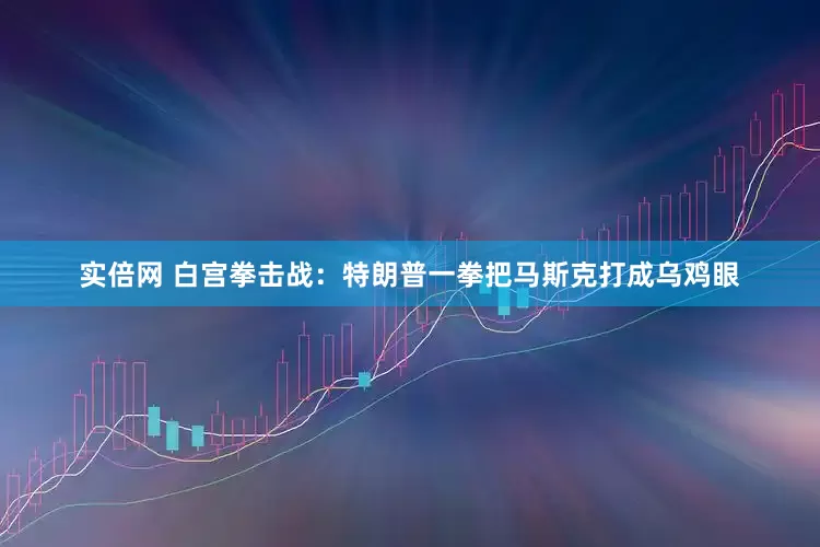 实倍网 白宫拳击战：特朗普一拳把马斯克打成乌鸡眼