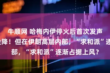 牛顺网 哈梅内伊停火后首次发声，伊朗绝不投降！但在伊朗高层内部，“求和派”逐渐占据上风？