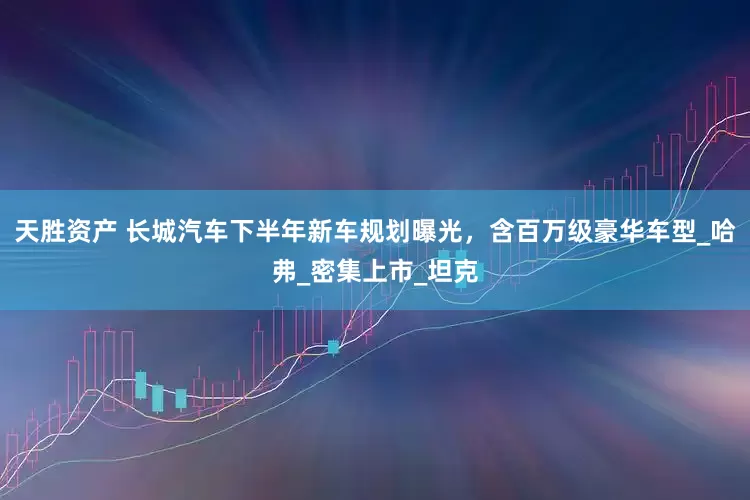 天胜资产 长城汽车下半年新车规划曝光，含百万级豪华车型_哈弗_密集上市_坦克