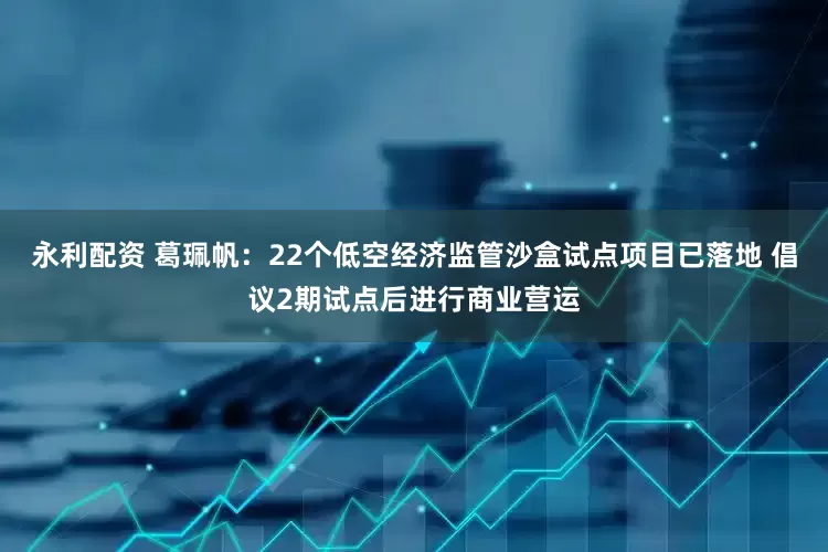 永利配资 葛珮帆：22个低空经济监管沙盒试点项目已落地 倡议2期试点后进行商业营运