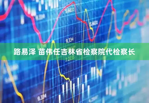 路易泽 苗伟任吉林省检察院代检察长