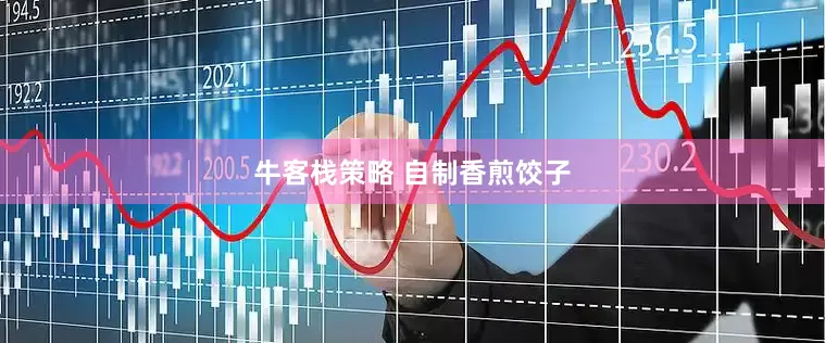 牛客栈策略 自制香煎饺子